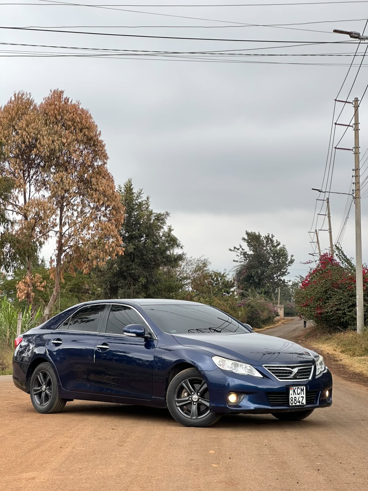 2010 Toyota Mark X GRX130 2010